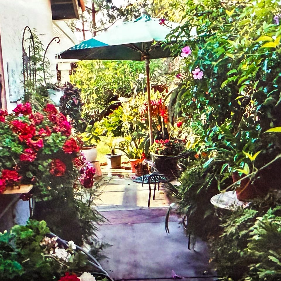 Lush garden patio with a green umbrella, potted plants, and vibrant red and pink flowers.